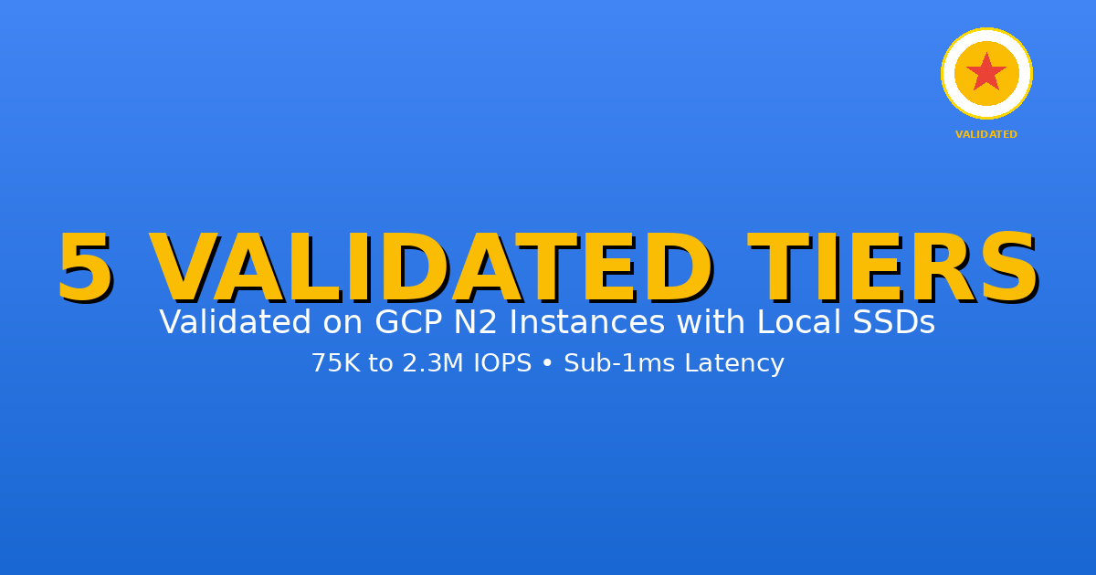 MayaScale Validated Performance Tiers on Google Cloud
